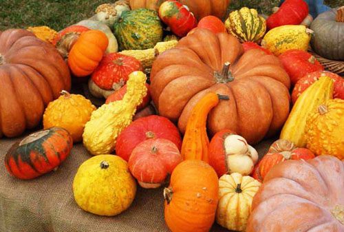 San Martino in cantina, domenica 11 novembre 2012